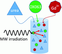 graphical abstract