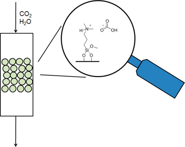 graphical abstract