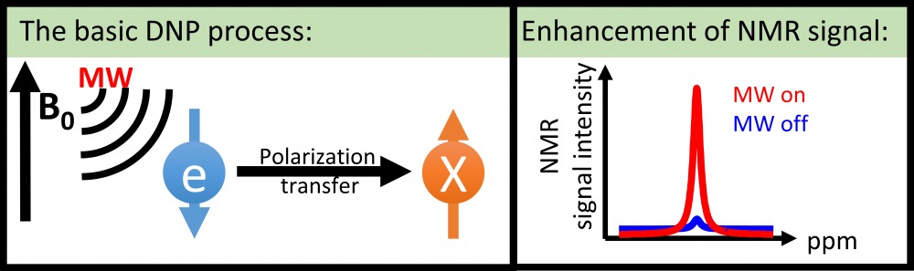 DNP_scheme