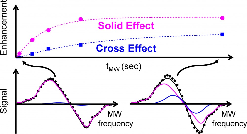 graphical abstract